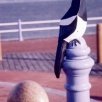 magpie bollards (2)