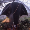 tropics trader eden project (2)